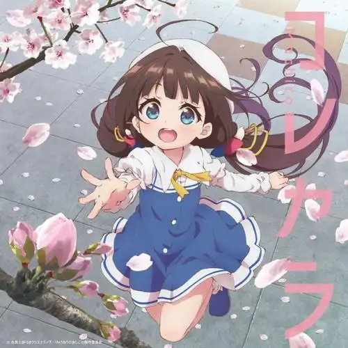 来自上海
